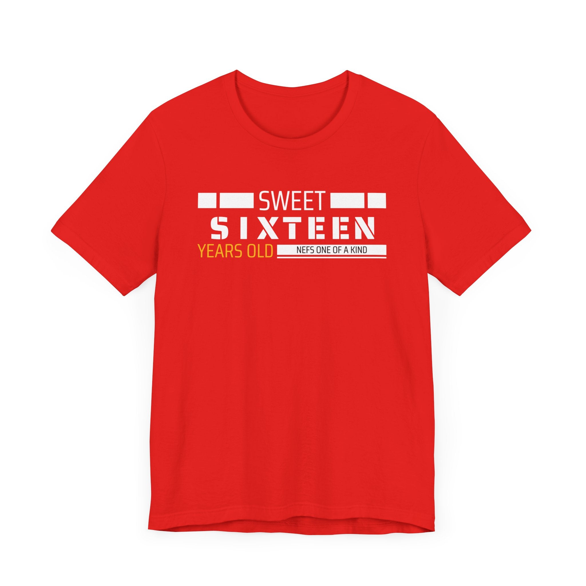 Sixteen year old Unisex Adult Tee